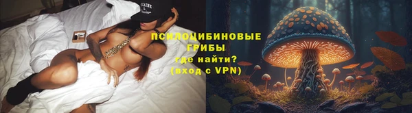 ПСИЛОЦИБИНОВЫЕ ГРИБЫ Сафоново