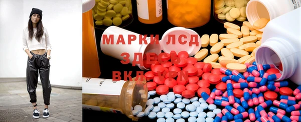 стаф Сатка