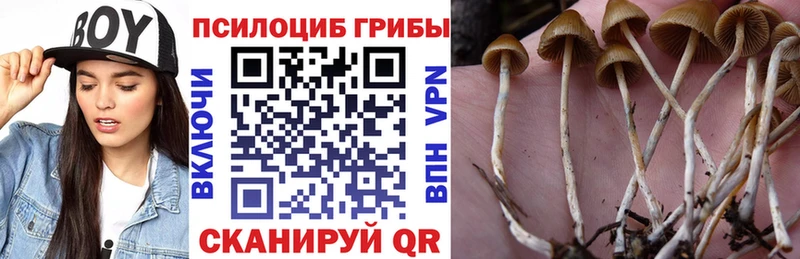 площадка официальный сайт  Задонск  Галлюциногенные грибы GOLDEN TEACHER  omg ССЫЛКА 